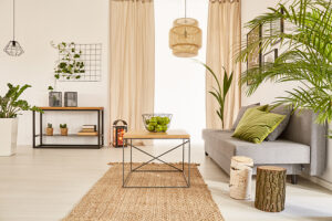 plante-déco-maison