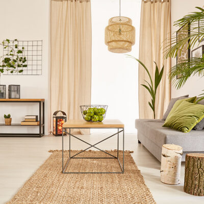 Quelles sont les plantes adaptées pour décorer votre maison ?