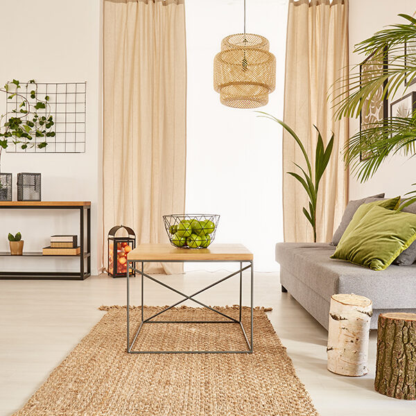 Quelles sont les plantes adaptées pour décorer votre maison ?