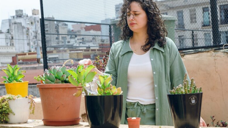 L’art du mobilier extérieur : Choix judicieux pour une terrasse de jardin chic