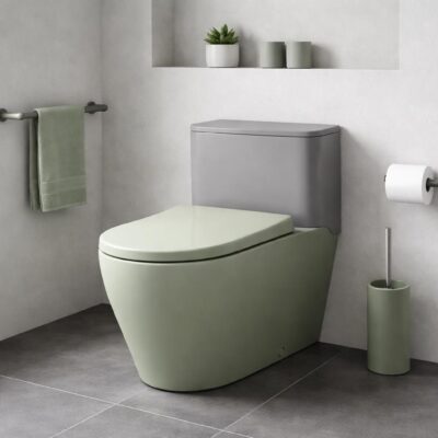 WC vert et gris : l&rsquo;association de couleurs moderne pour vos toilettes